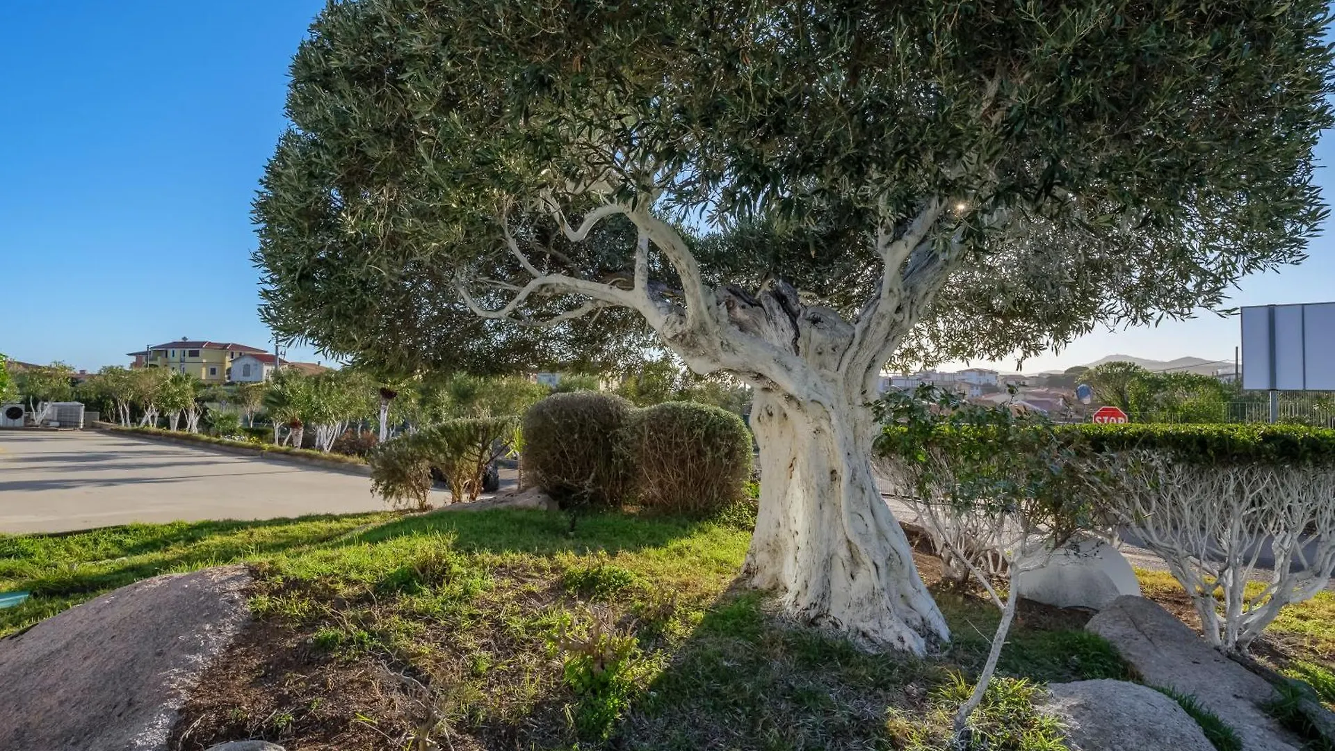 Villa Marconi Apartment 6 Golfo Aranci